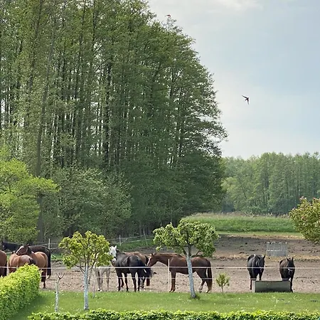 农家乐 Ostwind Am Grambin